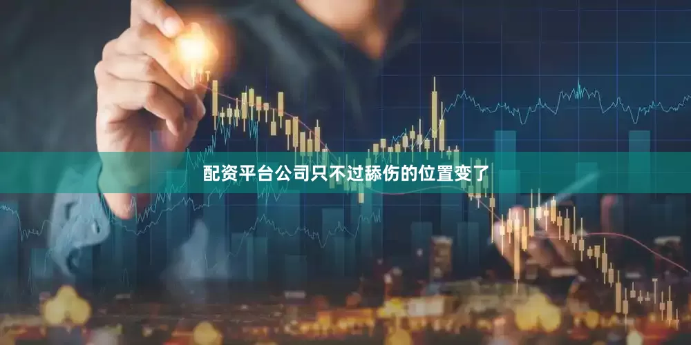 配资平台公司只不过舔伤的位置变了