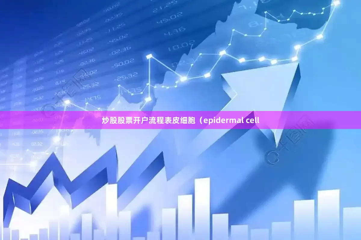 炒股股票开户流程表皮细胞（epidermal cell