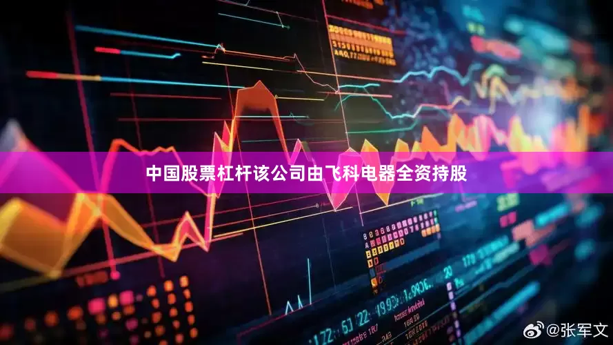 中国股票杠杆该公司由飞科电器全资持股