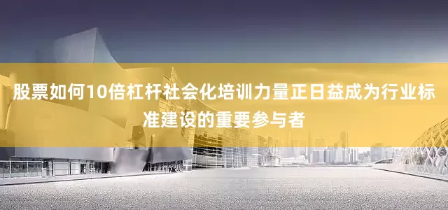 股票如何10倍杠杆社会化培训力量正日益成为行业标准建设的重要参与者