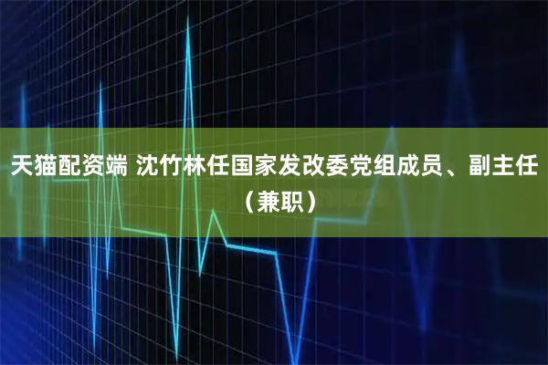 天猫配资端 沈竹林任国家发改委党组成员、副主任（兼职）