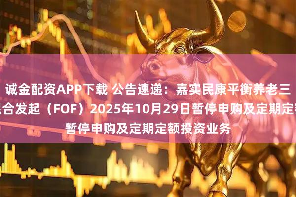 诚金配资APP下载 公告速递：嘉实民康平衡养老三年持有期混合发起（FOF）2025年10月29日暂停申购及定期定额投资业务