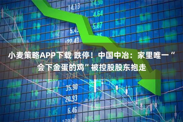小麦策略APP下载 跌停!中国中冶:家里唯一“会下金蛋的鸡”被控股股东抱走